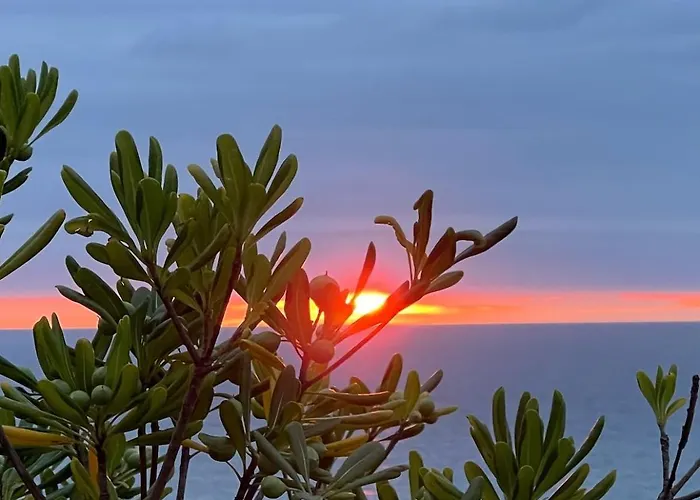 Phar'ouest Appartement